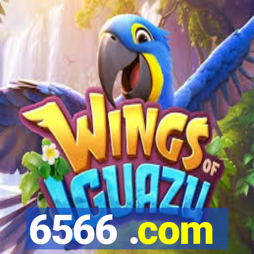6566 .com